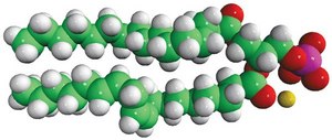 Soy PA Avanti Research&#8482; - A Croda Brand 840074C