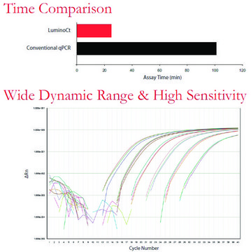 LuminoCt&#174; SYBR&#174; Green qPCR ReadyMix&#8482; For fast SYBR Green quantitative PCR