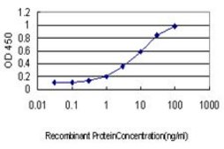 Monoclonal Anti-PRKCI, (N-terminal) antibody produced in mouse clone 3A7, purified immunoglobulin, buffered aqueous solution