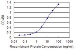 Monoclonal Anti-ETV4 antibody produced in mouse clone 1A3-1D3, purified immunoglobulin, buffered aqueous solution