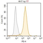 Anti-SV40 T Antigen Antibody, clone PAb416 ZooMAb&#174; Mouse Monoclonal recombinant, expressed in HEK 293 cells