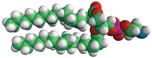 16:0 PE Avanti Research&#8482; - A Croda Brand