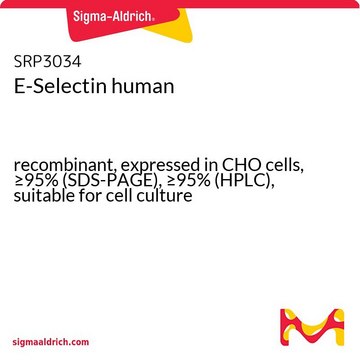 E-Selectin human recombinant, expressed in CHO cells, &#8805;95% (SDS-PAGE), &#8805;95% (HPLC), suitable for cell culture