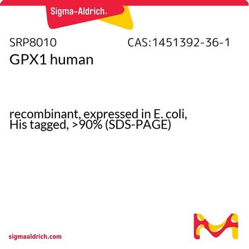 GPX1 human recombinant, expressed in E. coli, His tagged, &gt;90% (SDS-PAGE)