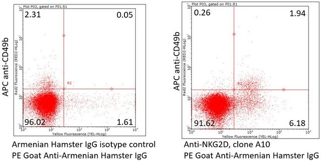 Anti-NKG2D/CD314 Antibody, clone A10