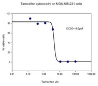 Tamoxifen powder, Suitable for cell culture