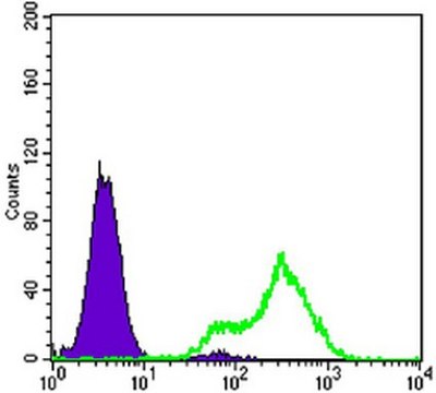 Anti-FABP2 Antibody, clone 9A9B7B3 ascites fluid, clone 9A9B7B3, from mouse