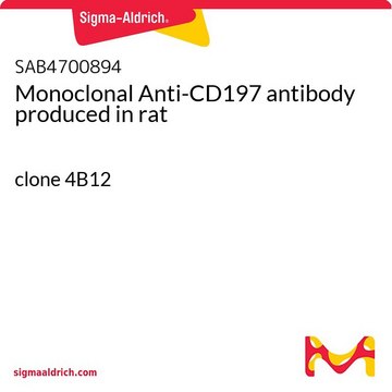 Monoclonal Anti-CD197 antibody produced in rat clone 4B12