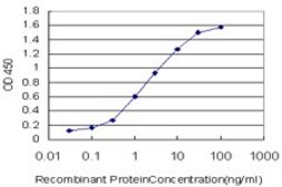 Monoclonal Anti-JAG2 antibody produced in mouse clone 1C5, purified immunoglobulin, buffered aqueous solution