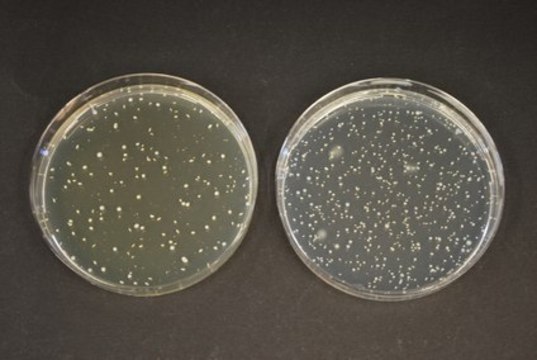 TOS-Propionate Agar (Base) GranuCult&#174; prime, suitable for microbiology, for Bifidobacterium spp.