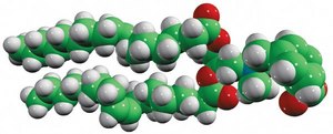 DOBAQ Avanti Research&#8482; - A Croda Brand 850310P, powder