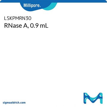 RNase A, 0.9 mL