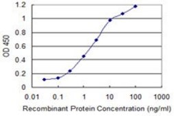 Monoclonal Anti-CNN1 antibody produced in mouse clone 3C7-2A6, purified immunoglobulin, buffered aqueous solution