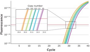 KAPA PROBE FAST suitable for qPCR, 2&#160;×, ABI Prism&#174;