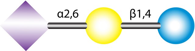 6′-Sialyllactose sodium salt from bovine milk or colostrum, ≥97% (HPLC)