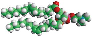 18:1 Dimethyl PE 1,2-dioleoyl-sn-glycero-3-phosphoethanolamine-N,N-dimethyl, powder