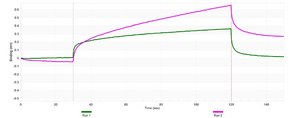 Anti-GADD153/DDIT3 Antibody, clone 3I18 ZooMAb&#174; Rabbit Monoclonal recombinant, expressed in HEK 293 cells
