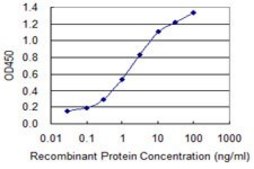 Monoclonal Anti-UBQLN1 antibody produced in mouse clone 1C6-B7, purified immunoglobulin, buffered aqueous solution