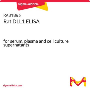 Rat DLL1 ELISA for serum, plasma and cell culture supernatants