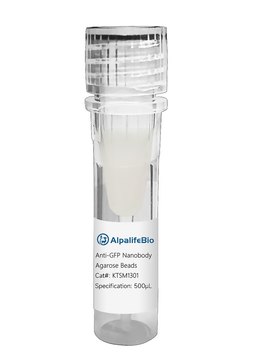 Alpaca Anti-GFP single domain antibody, agarose beads recombinant Alpaca(VHH) Nano antibody agarose bead suspension