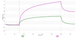 Anti-HIF-1α Antibody, clone 2B14 ZooMAb&#174; Rabbit Monoclonal recombinant, expressed in HEK 293 cells
