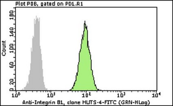 Milli-Mark&#174; Anti-Integrin &#946;1-FITC Antibody, activated, clone HUTS-4 clone HUTS-4, Milli-Mark&#174;, from mouse