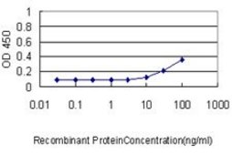 Monoclonal Anti-REN antibody produced in mouse clone 2H2, purified immunoglobulin, buffered aqueous solution