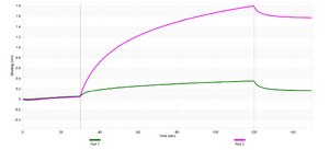 Anti-Aromatase Antibody, clone 1D23 ZooMAb&#174; Rabbit Monoclonal recombinant, expressed in HEK 293 cells