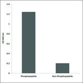 Anti-phospho-Akt (pSer124) antibody produced in rabbit affinity isolated antibody