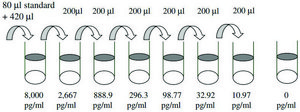 Rat IL-1 &#945; ELISA Kit for serum, plasma and cell culture supernatant