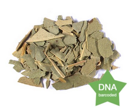 Eucalyptus globulus Leaf Botanicalreference material