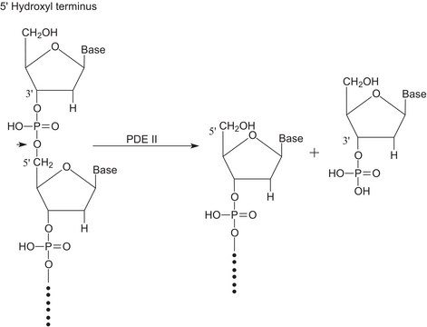 Phosphodiesterase II from bovine spleen lyophilized powder, &#8805;5.0&#160;units/mg protein