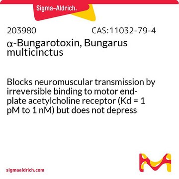 &#945;-Bungarotoxin, Bungarus multicinctus Blocks neuromuscular transmission by irreversible binding to motor end-plate acetylcholine receptor (Kd = 1 pM to 1 nM) but does not depress acetylcholine release from motor nerve endings.