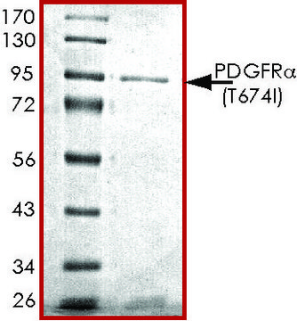 PDGFR-&#945; (T674I), active, GST tagged human PRECISIO&#174;, recombinant, expressed in baculovirus infected Sf9 cells, &#8805;70% (SDS-PAGE), buffered aqueous glycerol solution