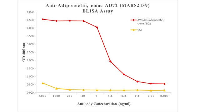 Anti-Adiponectin Antibody, clone AD72