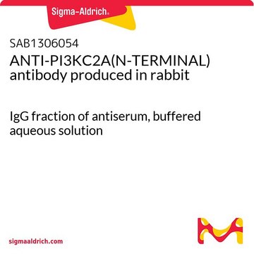 ANTI-PI3KC2A(N-TERMINAL) antibody produced in rabbit IgG fraction of antiserum, buffered aqueous solution