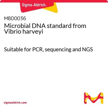 Microbial DNA standard from Vibrio harveyi Suitable for PCR, sequencing and NGS