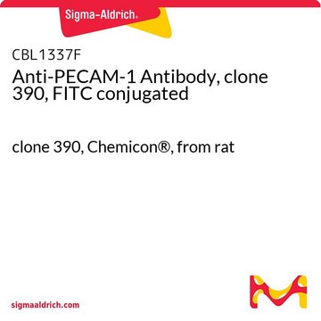 Anti-PECAM-1 Antibody, clone 390, FITC conjugated clone 390, Chemicon&#174;, from rat