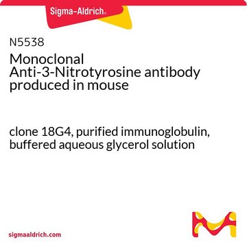 Monoclonal Anti-3-Nitrotyrosine antibody produced in mouse clone 18G4, purified immunoglobulin, buffered aqueous glycerol solution