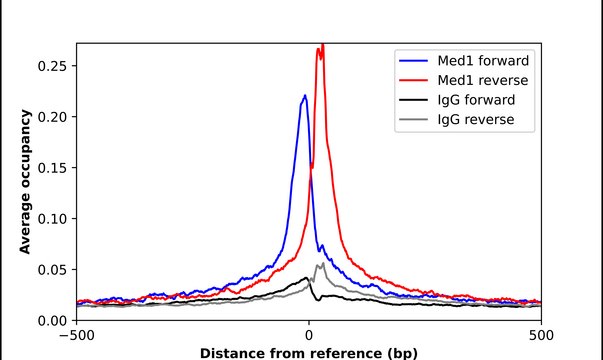 Anti-MED1 antibody produced in rabbit Prestige Antibodies&#174; Powered by Atlas Antibodies, affinity isolated antibody