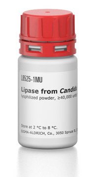 Lipase from Candida rugosa lyophilized powder, &#8805;40,000&#160;units/mg protein