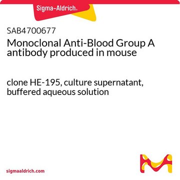 Monoclonal Anti-Blood Group A antibody produced in mouse clone HE-195, culture supernatant, buffered aqueous solution