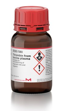 Thrombin from bovine plasma Suitable for manufacturing of diagnostic kits and reagents