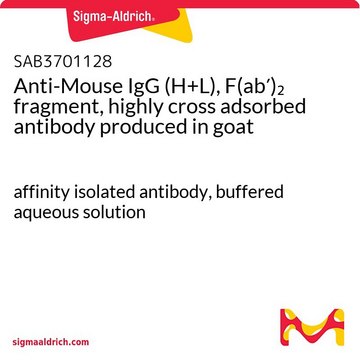 Anti-Mouse IgG (H+L), F(ab&#8242;)2 fragment, highly cross adsorbed antibody produced in goat affinity isolated antibody, buffered aqueous solution