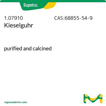 Kieselguhr purified and calcined