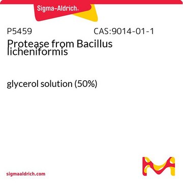 Protease from Bacillus licheniformis glycerol solution (50%)