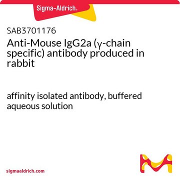 Anti-Mouse IgG2a (&#947;-chain specific) antibody produced in rabbit affinity isolated antibody, buffered aqueous solution