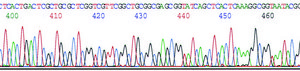 GenElute&#8482; Plasmid Miniprep Kit sufficient for 70&#160;purifications