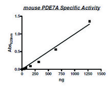 PDE7A active mouse recombinant, expressed in baculovirus infected Sf9 cells, &#8805;22% (SDS-PAGE)