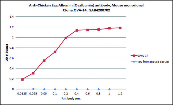 Anti-Chicken Egg Albumin (Ovalbumin) antibody, Mouse monoclonal clone OVA-14, purified from hybridoma cell culture